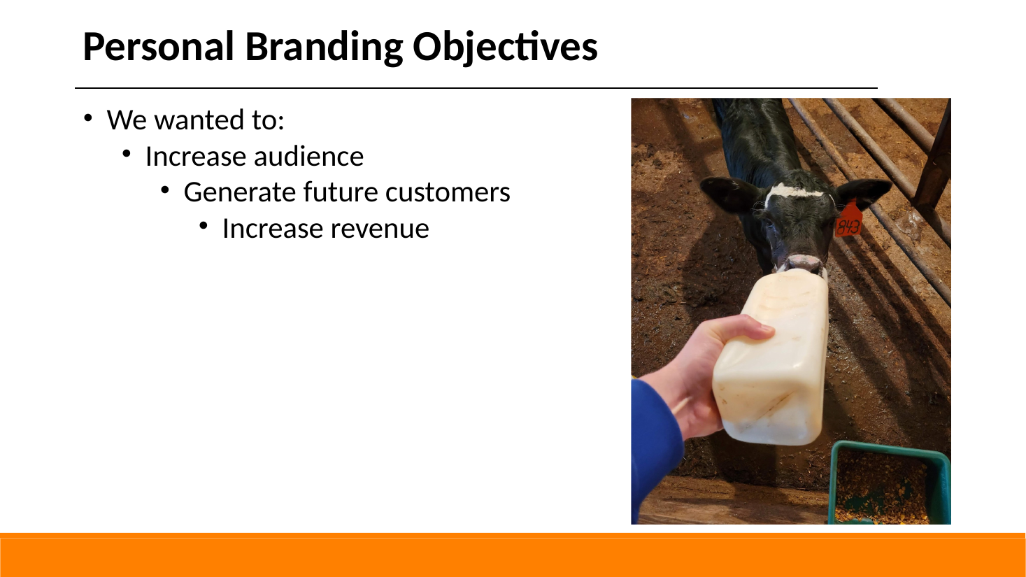 Slide 12